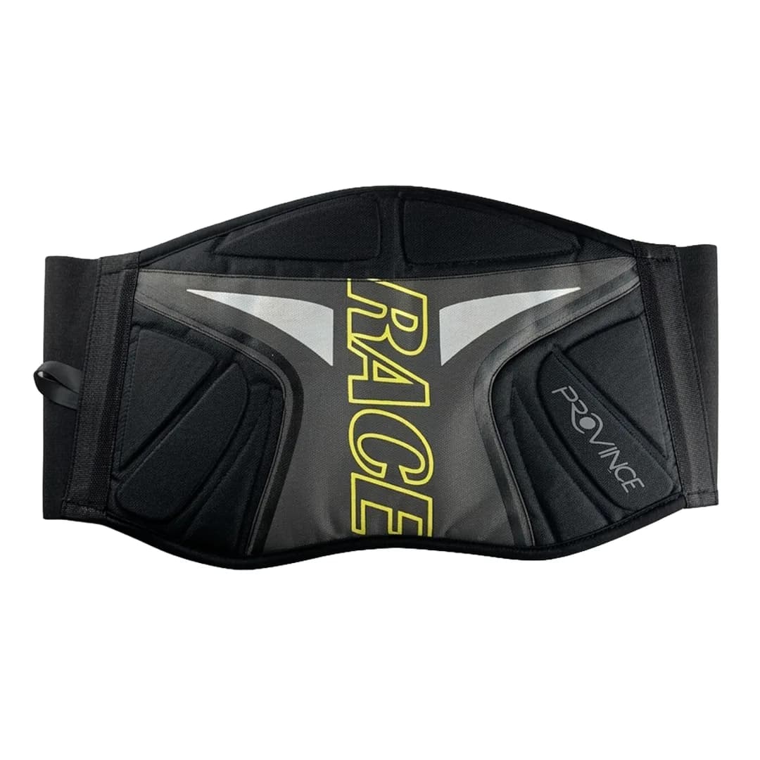 Race Graphic Padded Kidney Belt