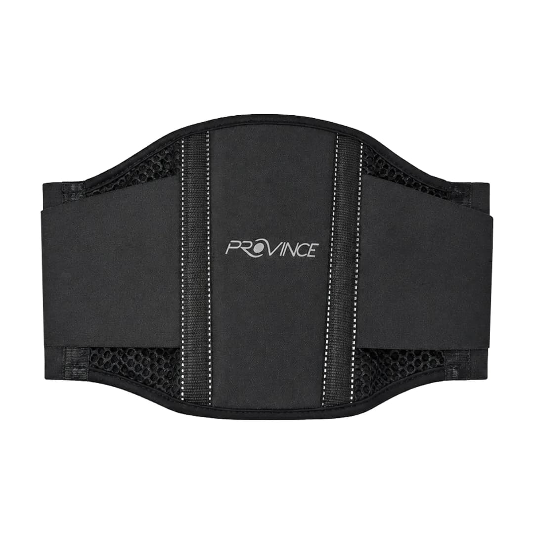 Central Panel Reflective Kidney Belt