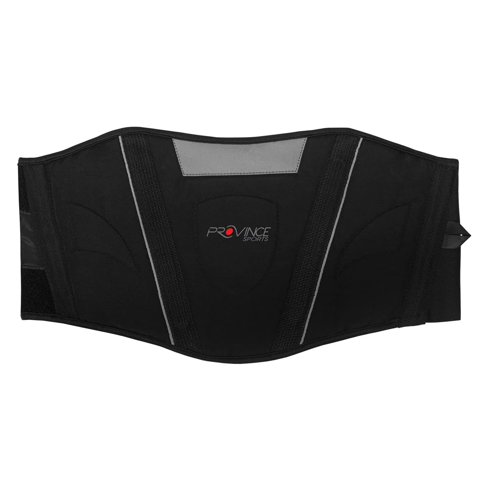 Shield Logo Reflective Kidney Belt